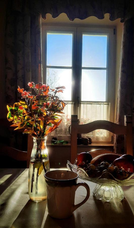 Dwor Na Wichrowym Wzgorzu Bed & Breakfast Przybysławice Dış mekan fotoğraf