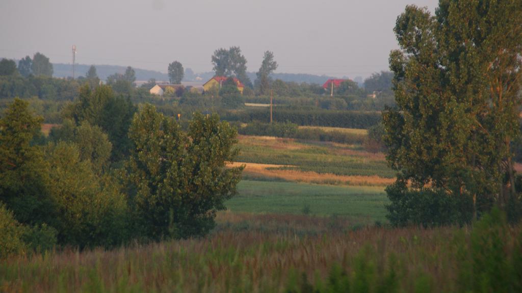 Dwor Na Wichrowym Wzgorzu Bed & Breakfast Przybysławice Dış mekan fotoğraf