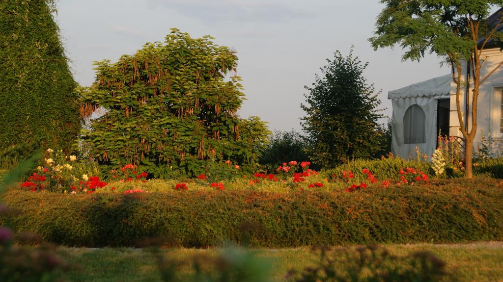 Dwor Na Wichrowym Wzgorzu Bed & Breakfast Przybysławice Dış mekan fotoğraf