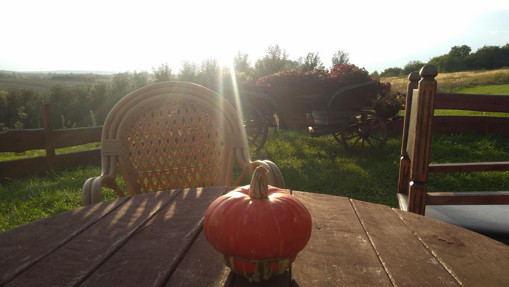 Dwor Na Wichrowym Wzgorzu Bed & Breakfast Przybysławice Dış mekan fotoğraf