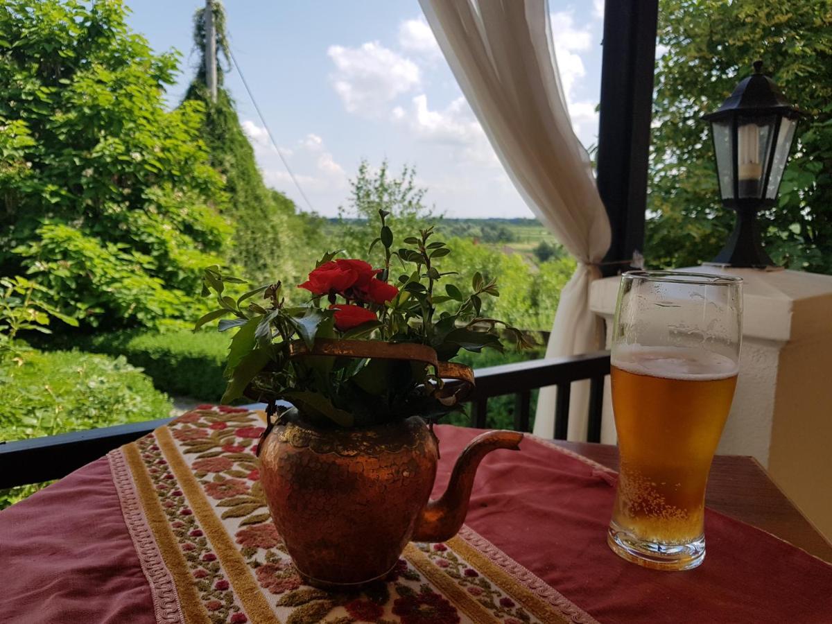 Dwor Na Wichrowym Wzgorzu Bed & Breakfast Przybysławice Dış mekan fotoğraf