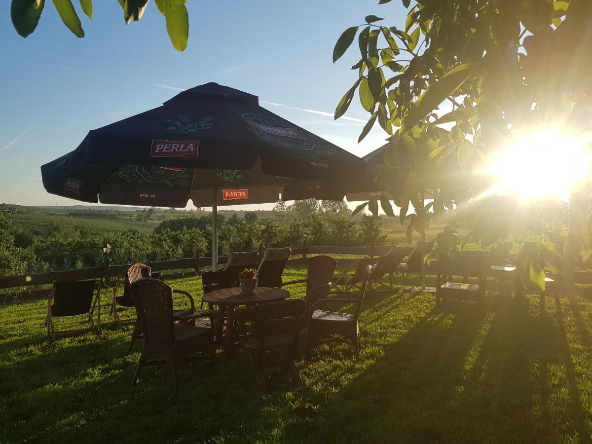 Dwor Na Wichrowym Wzgorzu Bed & Breakfast Przybysławice Dış mekan fotoğraf