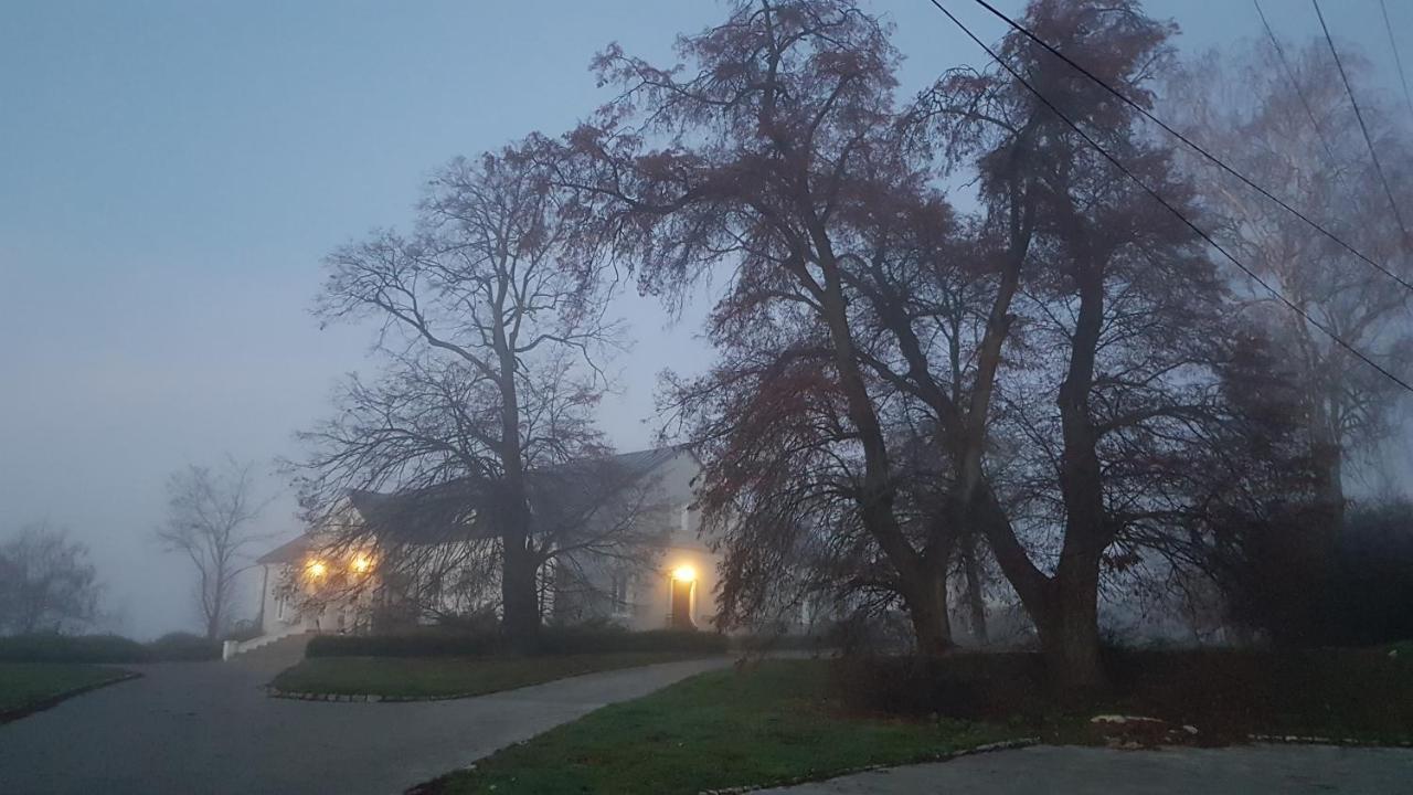 Dwor Na Wichrowym Wzgorzu Bed & Breakfast Przybysławice Dış mekan fotoğraf